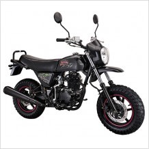 Lifan New Model Dirt Bike: Pony 100