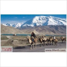 The battle between Auto firms in Xinjiang 