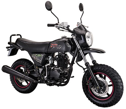 Lifan New Model Dirt Bike: Pony 100