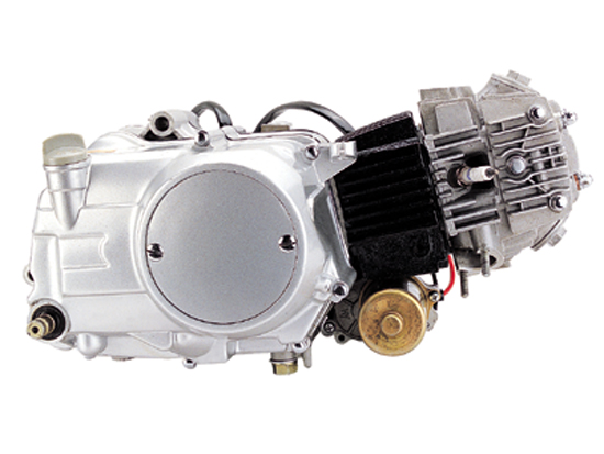 Lifan Horizontal-Engine/1P50FMG-E.