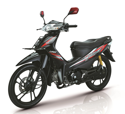 LIFAN Dirt-bike_PK110