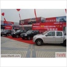 Chongqing subsidising car purchases in rural areas